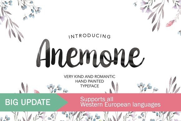 Anemone 