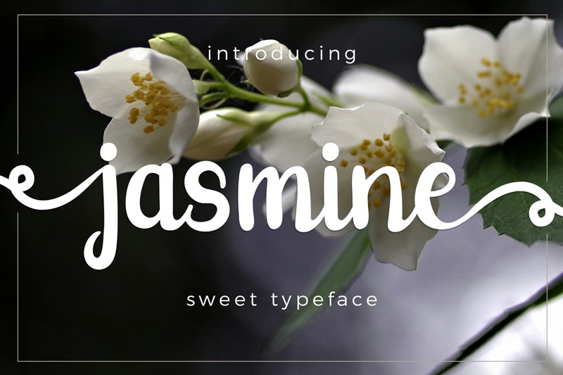 jasmine 