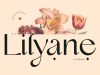 Lilyane